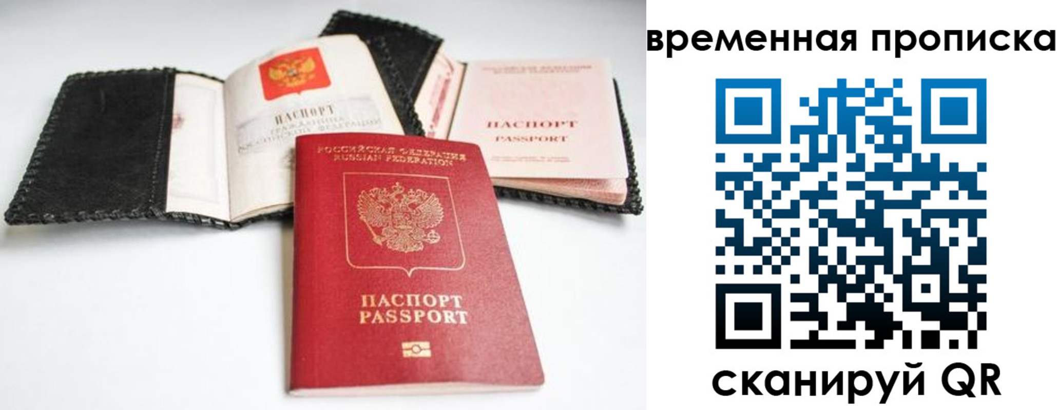 прописка для школы в Зернограде